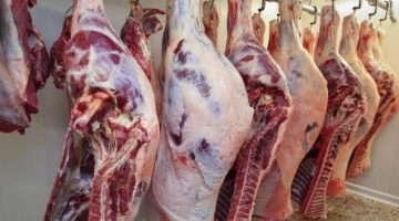 هل تنخفض قبل رمضان؟.. مفاجأة في أسعار اللحوم اليوم في الأسواق